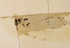 雨漏り、漏水